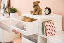 画像をギャラリービューアに読み込む, クローゼットケース幅55cm MB-5501| livinbox SHUTER シューター 収納ボックス 収納ケース クローゼット収納 押入れ 新生活